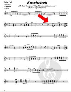 Kuschelzeit von Gottfried Hummel 