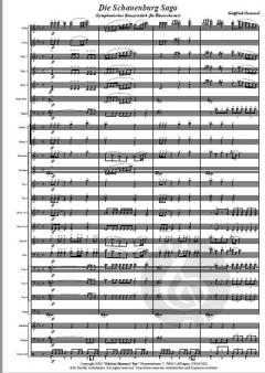 Die Schauenburg Saga von Gottfried Hummel 