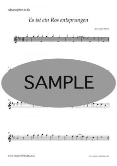 Weihnachtslieder für Altsaxophon 