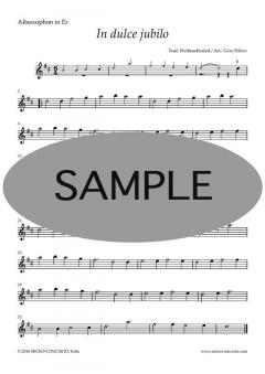 Weihnachtslieder für Altsaxophon 