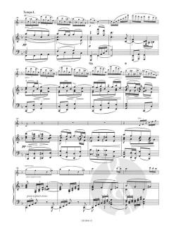 Konzert D-Dur op. 77 von Johannes Brahms 