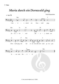 Maria durch ein Dornwald ging (Download) 