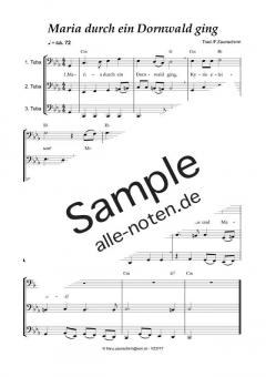 Maria durch ein Dornwald ging (Download) 