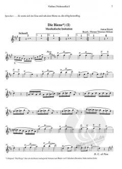 Der Teddy und die Tiere von Werner Thomas-Mifune 