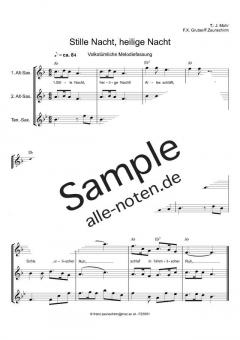 Stille Nacht, heilige Nacht von Franz Xaver Gruber 