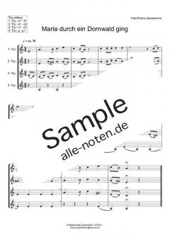 Maria durch ein Dornwald ging (Download) 