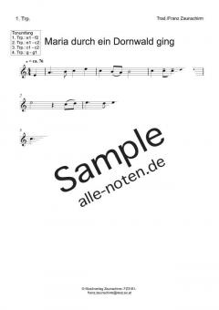 Maria durch ein Dornwald ging (Download) 