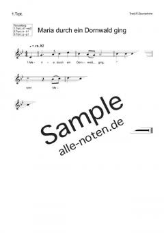 Maria durch ein Dornwald ging (Download) 