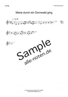 Maria durch ein Dornwald ging (Download) 