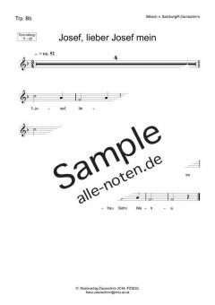 Josef, lieber Josef mein (Download) 
