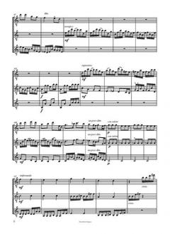 Danza fugato von Adrian Andrei 