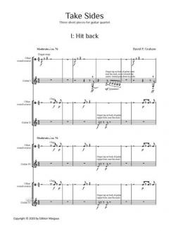 Take Sides von David Paul Graham 