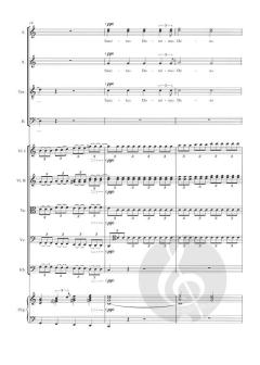 Messen-Sätze von Hans Rott 