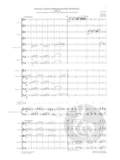 Nosferatu von Hans Erdmann 