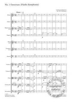 Donnerwetter! Herr Beethoven von Hoffmann,Niels Frédéric 