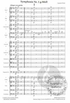 Symphonie Nr. 1 g-Moll von Cipriani Potter 