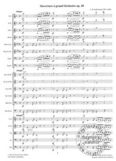 Ouverture à grand Orchestre Nr. 1 d-Moll op. 38 von Kalliwoda,Johann WenzelGoldbach,Michael im Alle Noten Shop kaufen (Partitur)
