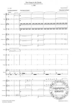 Der Gang in die Nacht von Siedhoff,Richard 