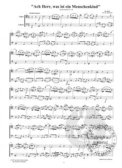 Kantatenarien von Johann Sebastian Bach 