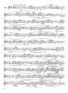 Melodious Etudes for Horn von Marco Bordogni 