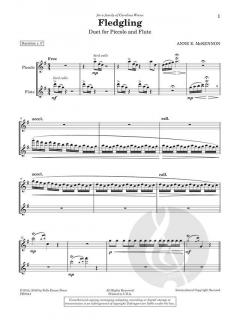 Fledgling von Anne McKennon 