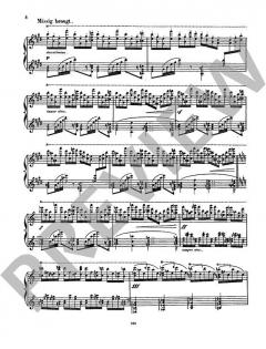 Feuerzauber von Richard Wagner 