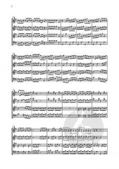 Hailstorm von Lance Eccles 