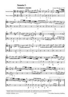 2 Sonaten und Variationen über eine irische Weise 