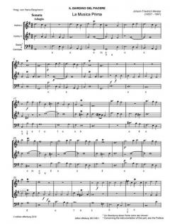 Il Giardino del Piacere Band 1 von J. Meister 