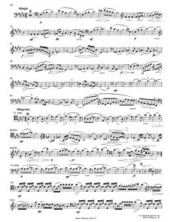 Sonate für Arpeggione und Pianoforte von Franz Schubert 