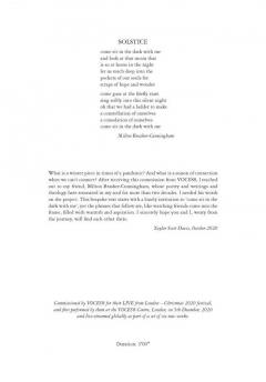 Solstice von Taylor Scott Davis 