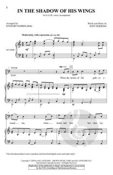 In the Shadow of His Wings von Judy Doering 