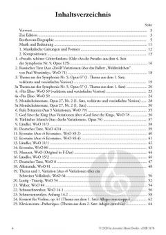 Celtic Fingerstyler Guitar 