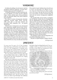 Celtic Fingerstyler Guitar 