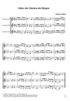 Das Weihnachtstrio von Norbert Feibel 