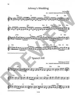 The Irish Flute Book von Patrick Steinbach (Download) 