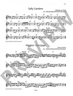 The Irish Flute Book von Patrick Steinbach (Download) 