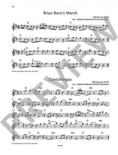 The Irish Flute Book von Patrick Steinbach (Download) 