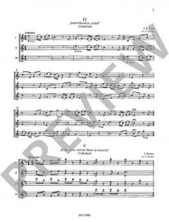 13 Kanons op. 113 von Johannes Brahms (Download) 