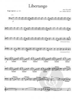 Libertango für Kontrabass und Gitarre von Astor Piazzolla 