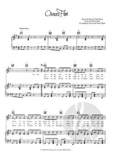 Enya: Paint the Sky with Stars 