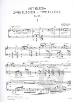 Two Elegies von Béla Bartók 