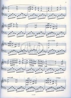 Nocturnes von Frédéric Chopin 