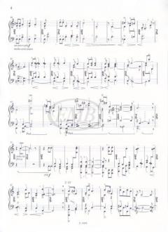 A Desert March... von Gyula Csapó 