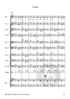 Die Bremer Stadtmusikanten. Ein Märchen Musical von Anja Elsholz 