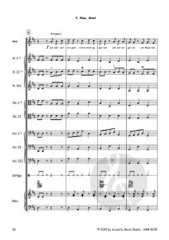 Die Bremer Stadtmusikanten. Ein Märchen Musical von Anja Elsholz 