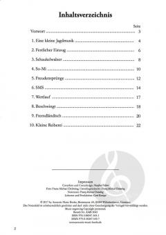 Saitenspiel - Band 1 von Franz-Michael Deimling 