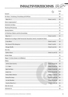 Hölderlin, Friedrich: So sang ich in die Saiten von Willem Mecklenburg 