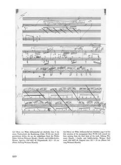 Freie Bearbeitungen Band II/8 (Neue Liszt Ausgabe A 