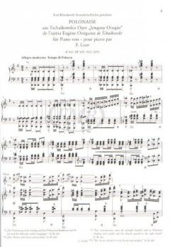 Freie Bearbeitungen Band II/15 von Franz Liszt 